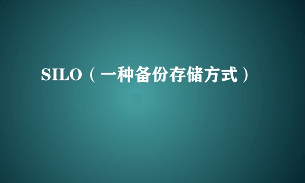 SILO（一种备份存储方式）