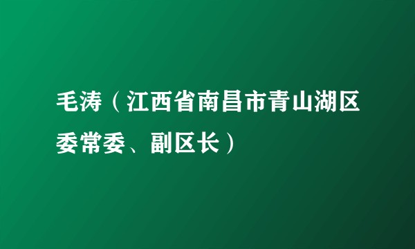 毛涛（江西省南昌市青山湖区委常委、副区长）