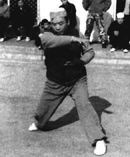 河南派心意拳