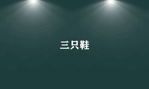 三只鞋