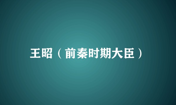 王昭（前秦时期大臣）