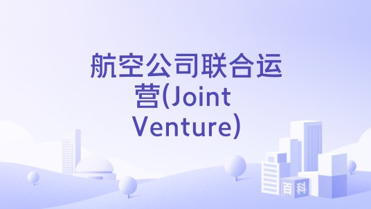 航空公司联合运营(Joint Venture)