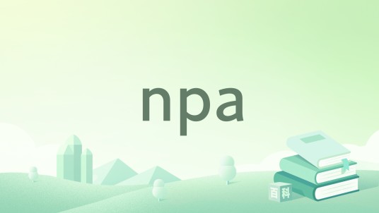 npa(2016年出版的图书)