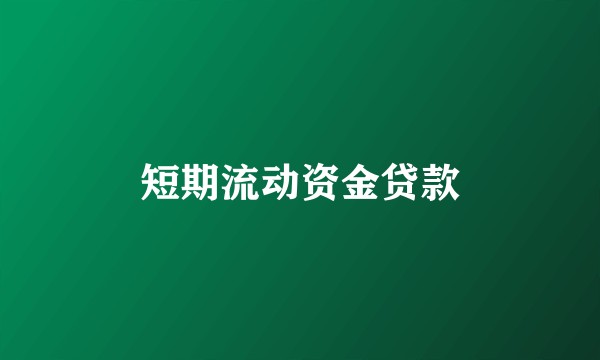 短期流动资金贷款
