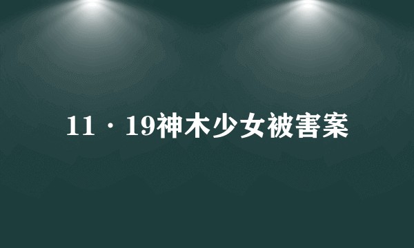 11·19神木少女被害案