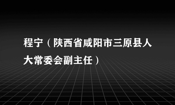 程宁（陕西省咸阳市三原县人大常委会副主任）