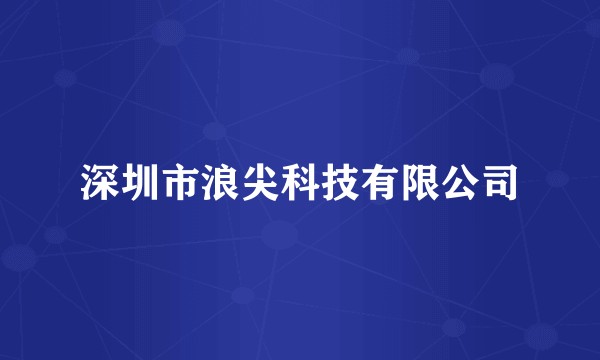 深圳市浪尖科技有限公司