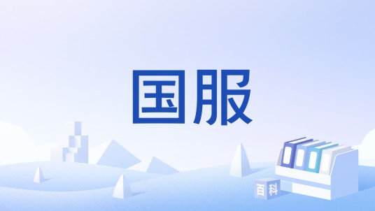 国服（中国网络服务器的简称）