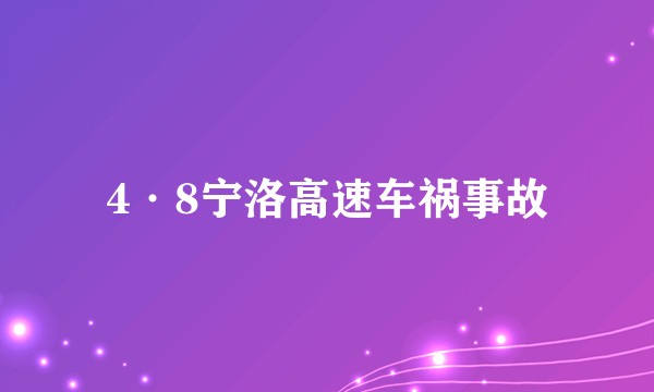 4·8宁洛高速车祸事故