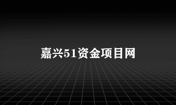 嘉兴51资金项目网