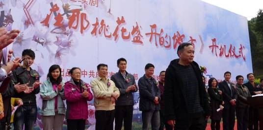 在那桃花盛开的地方（2011年万妮恩主演电视剧）