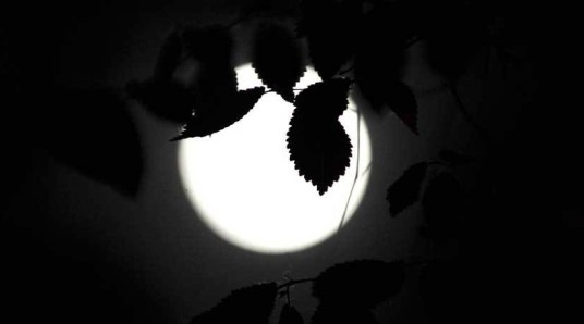 冬月（陈夫作品）