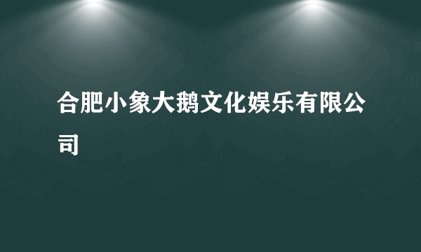 合肥小象大鹅文化娱乐有限公司