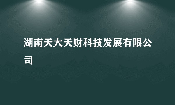 湖南天大天财科技发展有限公司