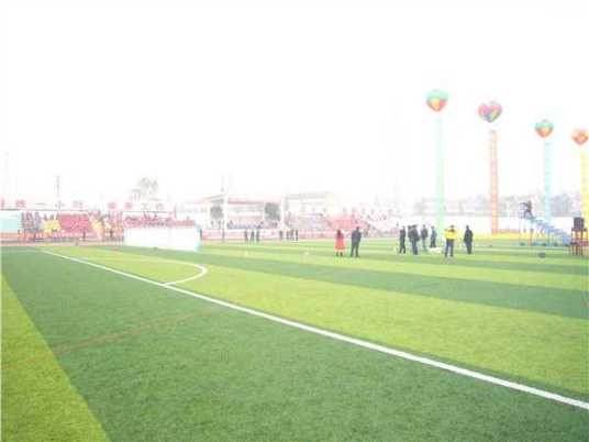 武汉市蔡甸区汉阳一中
