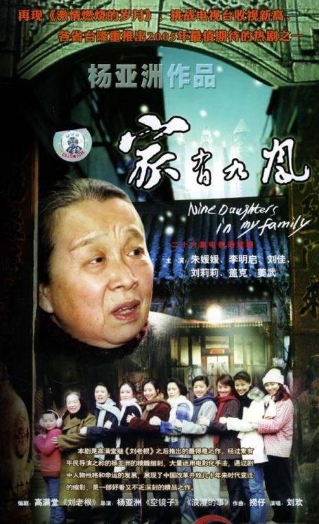 家有九凤（2005年杨亚洲执导的剧情电视剧）