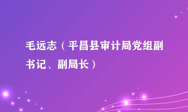 毛远志（平昌县审计局党组副书记、副局长）