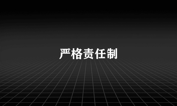 严格责任制