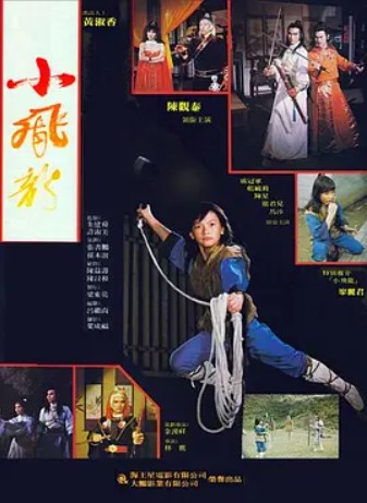 小飞龙（1982年杜文波执导的电影）