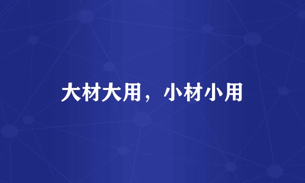 大材大用，小材小用