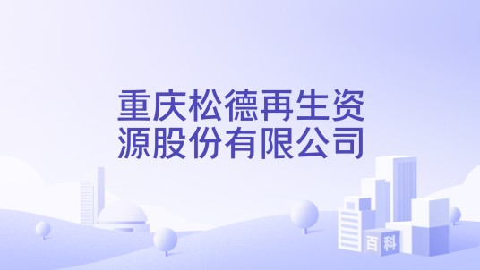重庆松德再生资源股份有限公司