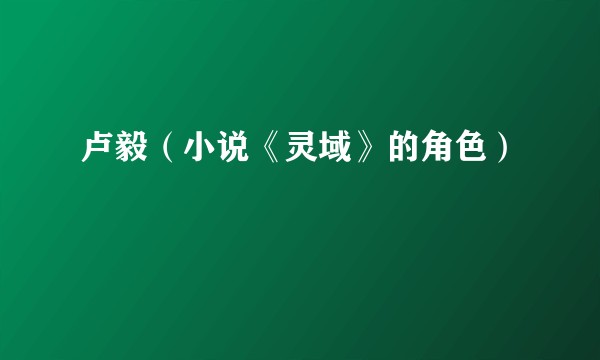 卢毅（小说《灵域》的角色）