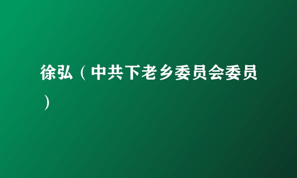 徐弘（中共下老乡委员会委员）