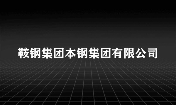 鞍钢集团本钢集团有限公司