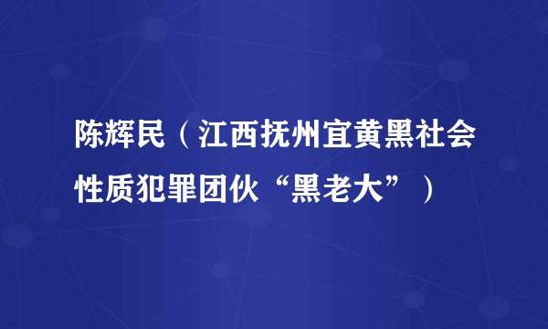陈辉民（江西抚州宜黄黑社会性质犯罪团伙“黑老大”）