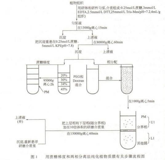 离心技术