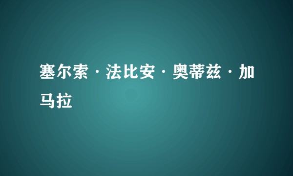 塞尔索·法比安·奥蒂兹·加马拉