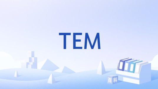 TEM（管理伦理术语）