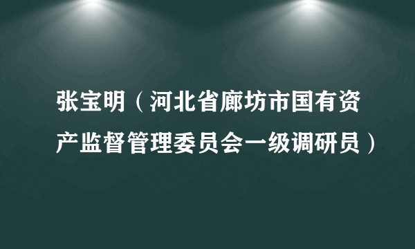 张宝明（河北省廊坊市国有资产监督管理委员会一级调研员）