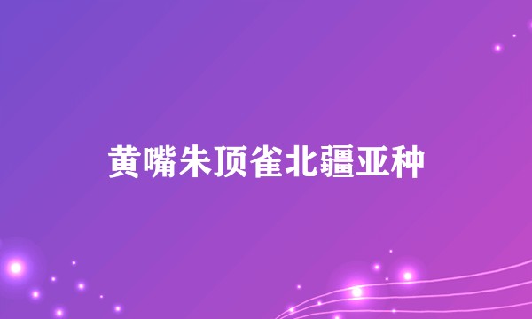 黄嘴朱顶雀北疆亚种