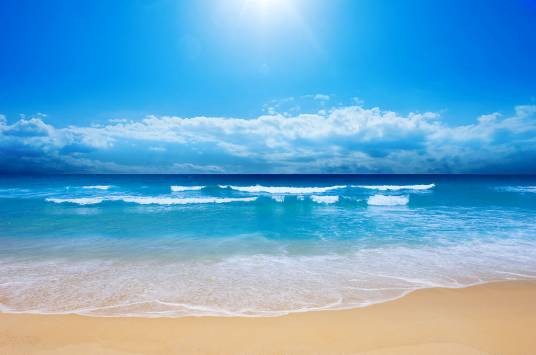 海滩（地貌特征）