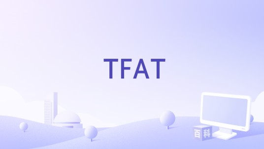 TFAT（微软事务安全FAT文件系统）