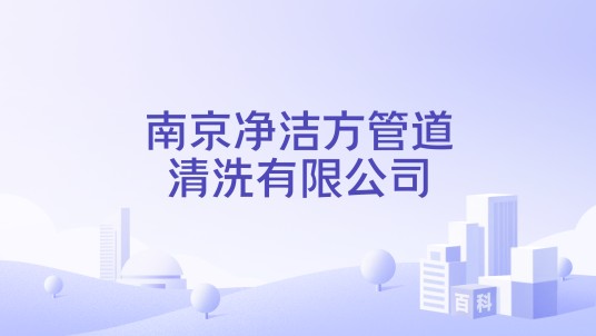 南京净洁方管道清洗有限公司