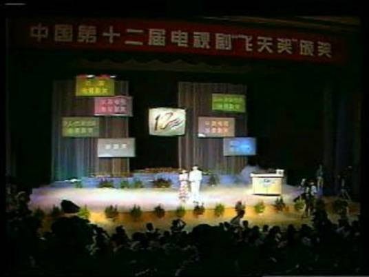 第12届中国电视剧飞天奖