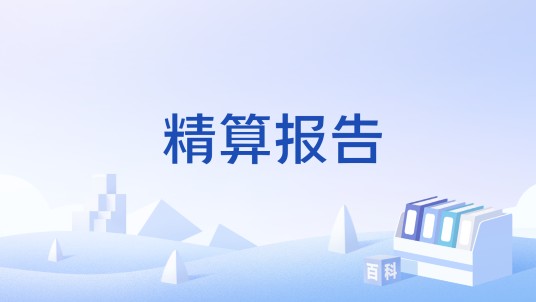 精算报告