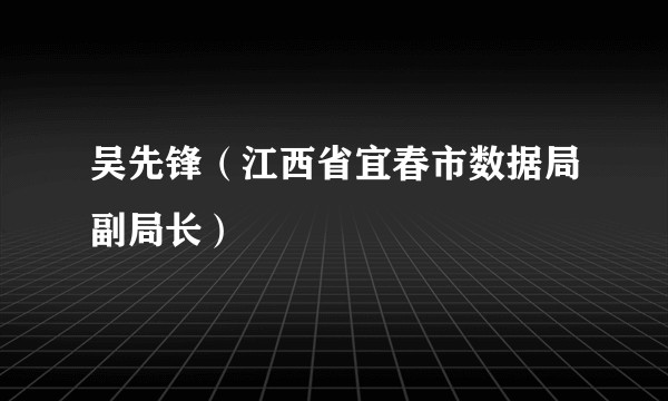 吴先锋（江西省宜春市数据局副局长）