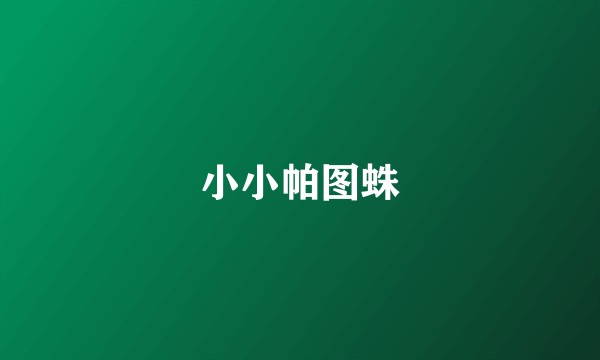 小小帕图蛛