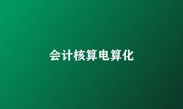 会计核算电算化