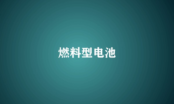 燃料型电池