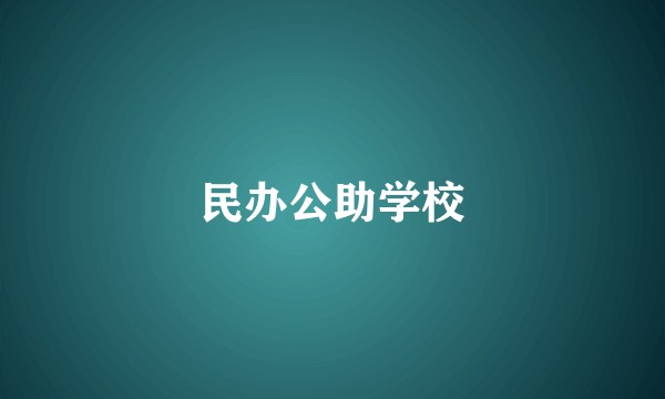 民办公助学校