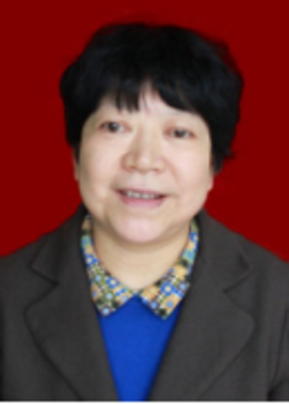 孙凌云（山东省聊城市人大常委会副主任）