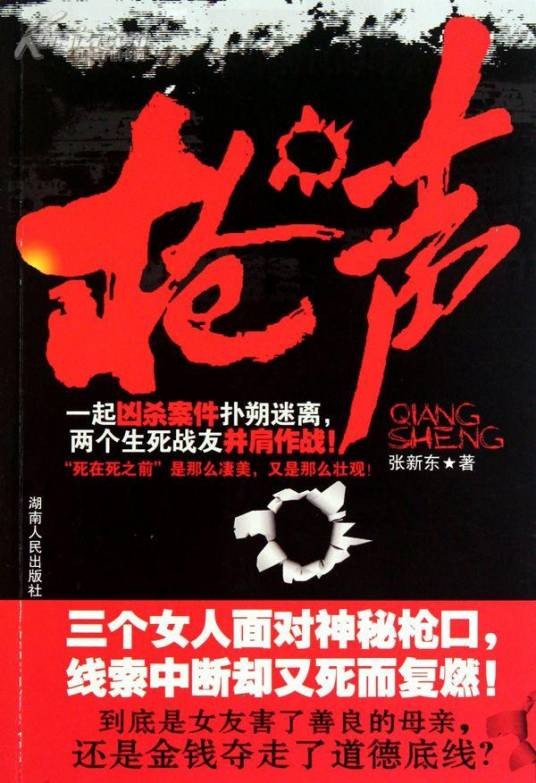 枪声（2010年湖南人民出版社出版的图书）