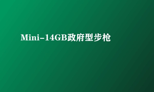 Mini-14GB政府型步枪