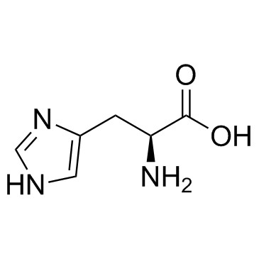 组氨酸