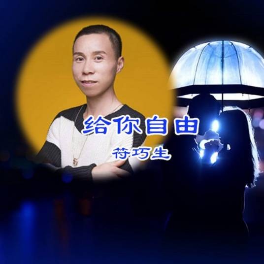 给你自由（符巧生演唱的国语流行歌曲）