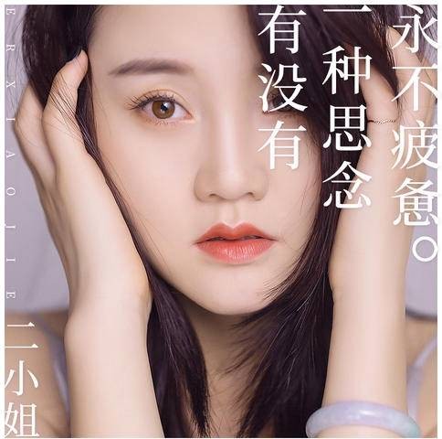有没有一种思念永不疲惫（二小姐演唱歌曲）